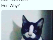 My cat's name is Dick Face.