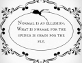 Normal is an illusion.