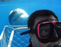 Nothing says I'm a bad ass more than taking a selfie with a great white shark.