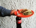 Now you can hold your plate and your drink with one hand leaving a free hand to stuff your face. Genius!