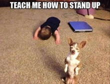Oh Master. Teach me how to stand up!