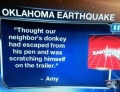 Oklahoma earthquake blamed on a donkey.