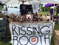 Pit bull kissing booth.
