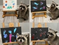 Raccoon art.