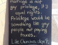Same sex marriage is not gay privilege.