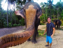 Selfie sticks are outdated fads. The new rage is elephant selfies.