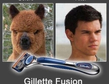 Shaving before and after pics with the Gillette Fusion razor.