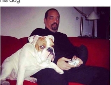 Shoutout to Ice-T for looking exactly like his dog.