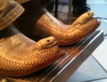 Snake shoes with the heads still attached.