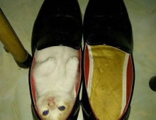 So I went to put my shoes on and found this.