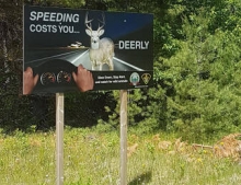 Speeding costs you deerly.