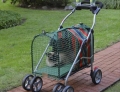 Stroller for pet owners who treat their cats like their children or it would also be good if you are a crazy cat lady.