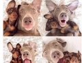 Taking selfies with your best friend.