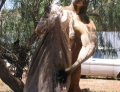 This Kangaroo is either on the juice or just has very good genes.