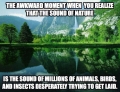 The awkward moment when you realize what the sound of nature actually is.
