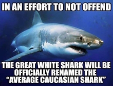 The great white shark will officially be renamed in an effort not to offend anyone.