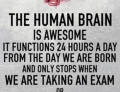 The human brain works great most of the time