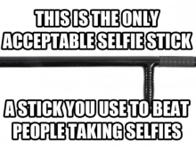 The only acceptable selfie stick.