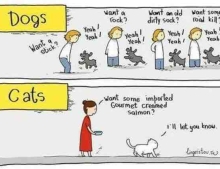 The real difference between dogs and cats.