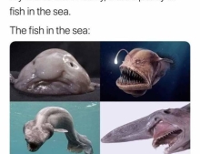 There's plenty of fish in the sea.