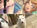 Husky dogs look just like these anime characters.