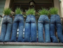 These planters are a great way to put your old blue jeans to good use.