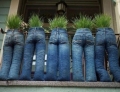 These planters are a great way to put your old blue jeans to good use.