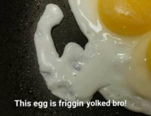 This egg is friggin' yolked bro!