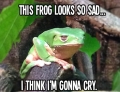 This frog looks so sad, I think I'm gonna cry.