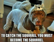 To catch the squirrel, you must become the squirrel.