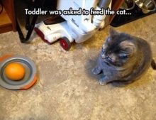 Toddler was asked to feed the cat.