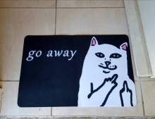 Cute kitty unwelcome mat.