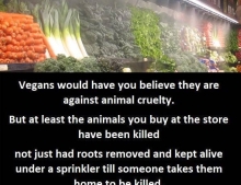Vegans would have you believe they are against animal cruelty.