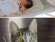 We forgot to tell our cat that we had a baby.