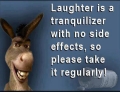 Well said Donkey. Laughter is indeed a tranquilizer and should be taken often.