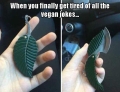 When you finally get tired of all the vegan jokes.