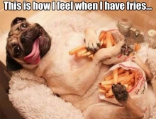 This is how I feel when I have french fries.