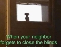 When your neighbor forgets to close the blinds and you see their wiener.