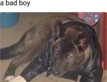 When you're a good boy but she wants a bad boy.