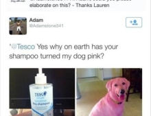 Why on earth has  your shampoo turned my dog pink?