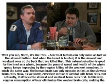 Why you feel smarter after a few beers according to Cliff Clavin from Cheers..