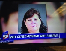Wife stabs husband with squirrel. Totally nuts!