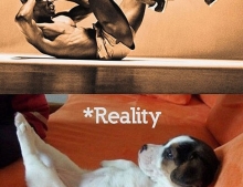Working out, expectation vs reality.