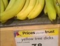Yellow tree dicks.