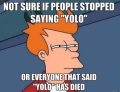 YOLO was like the one hit wonder of memes