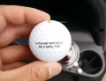 You found this golf ball...