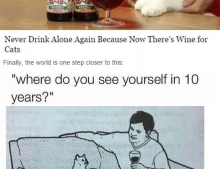 You will never have to drink alone again thanks to wine for cats.