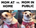 Your mom at home vs. Your mom in public