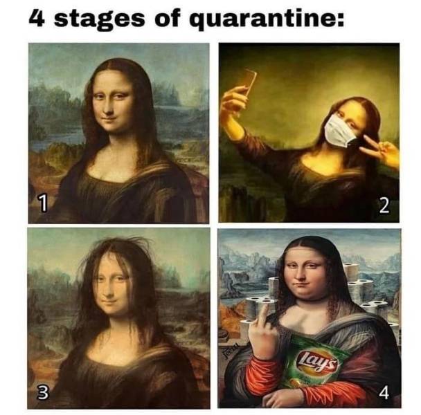 4 stages of quarantine.