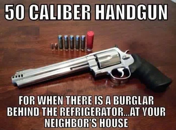 50 caliber handgun for home defense.